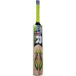 PR Opener Kashmir Willow Cricket Bat (SH)